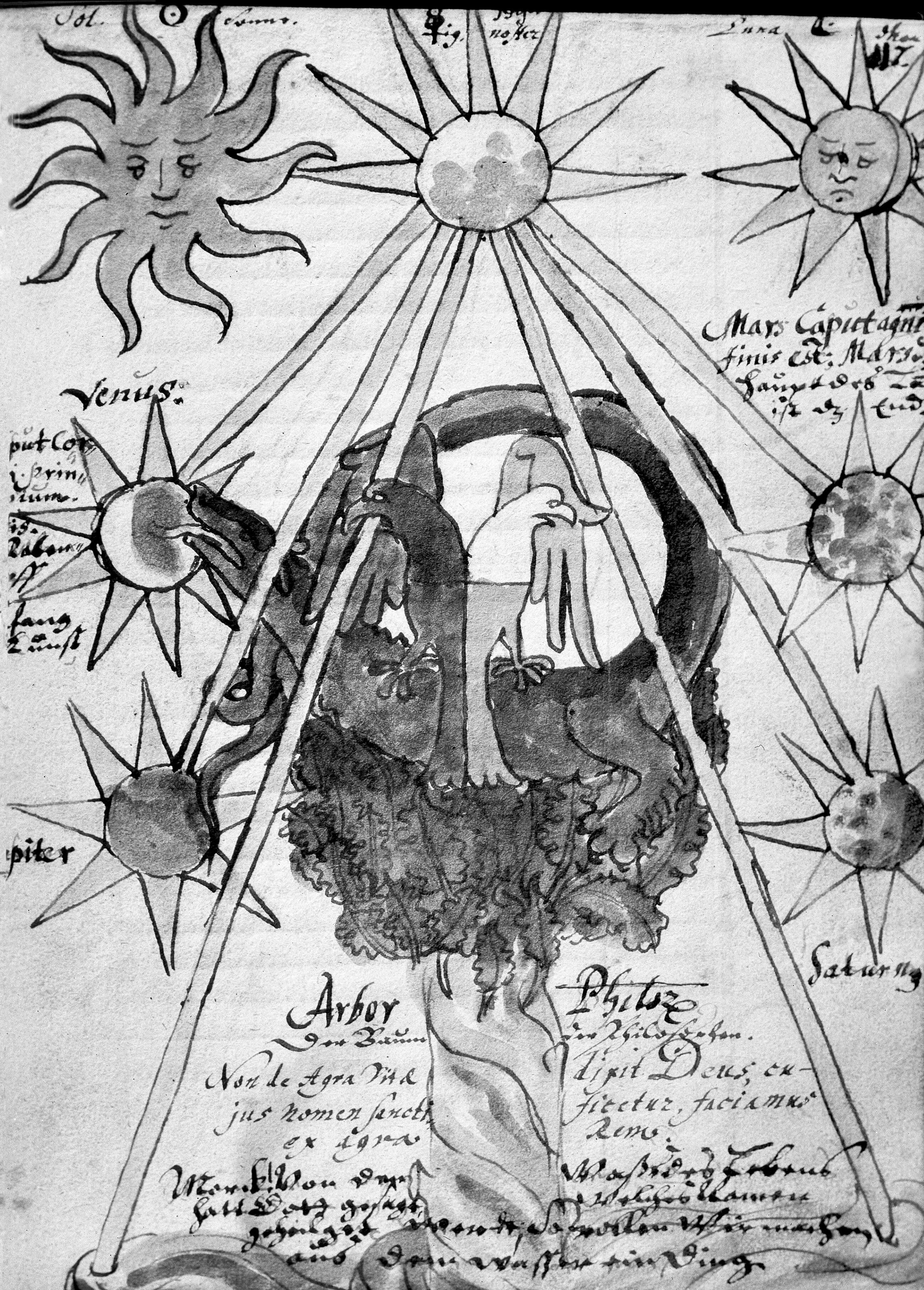 Alchemical allegory with a central tree and surrounding celestial symbols